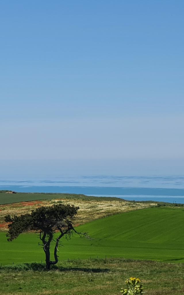 View from the cliffs