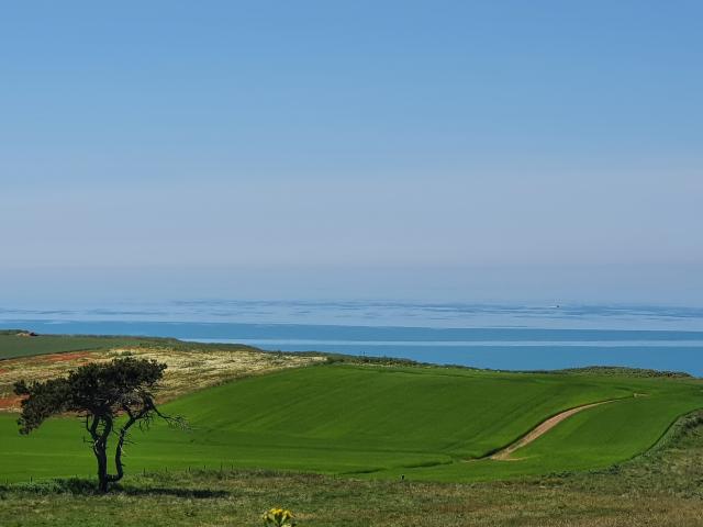 Aussichtspunkt von den Klippen