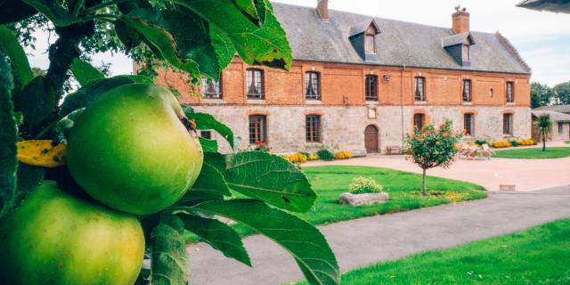 Manoir de Tessy, Gîte de France à Ouville-la-Rivière