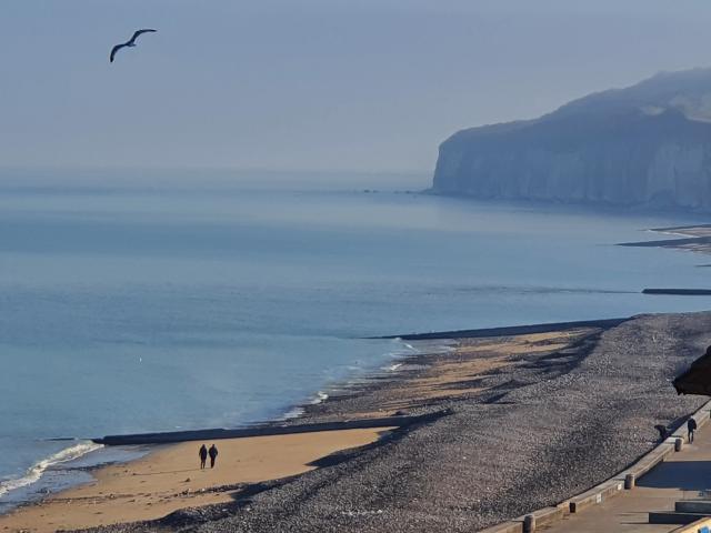 The beach and the cliffs