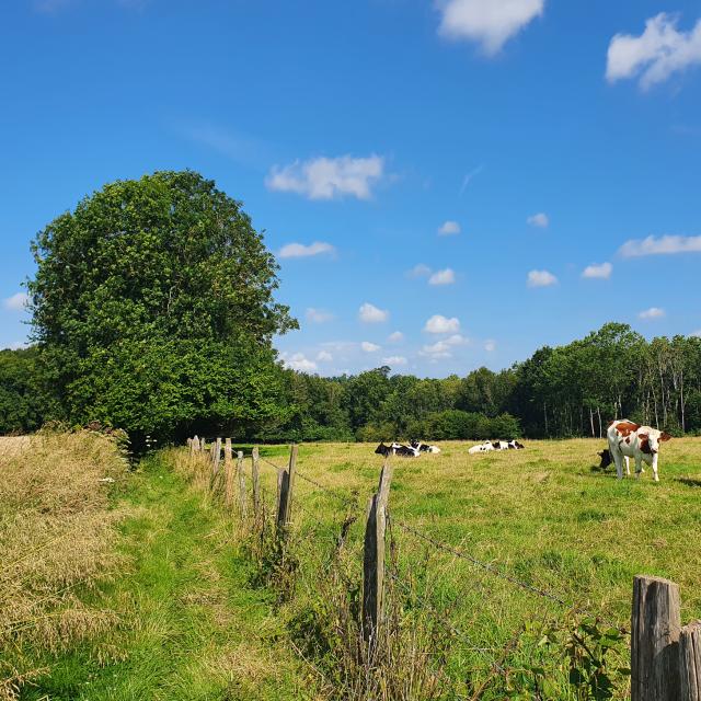 Randonnée à Saâne Saint Just