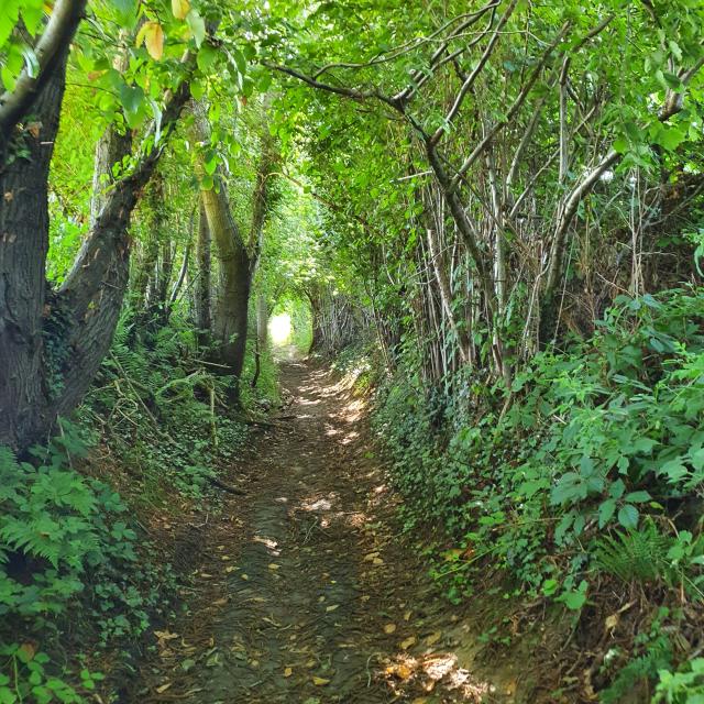 Randonnée à Saâne Saint Just