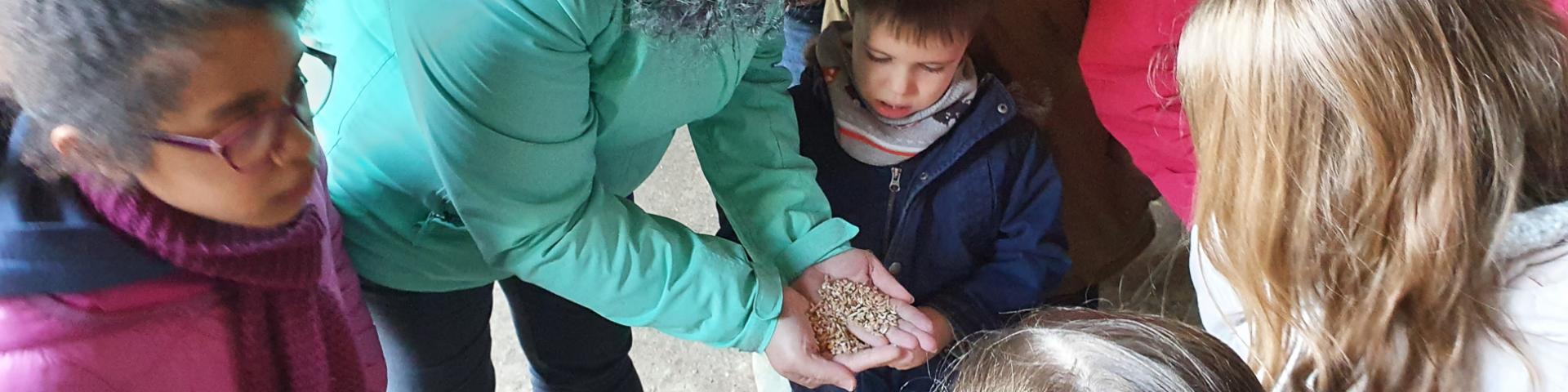 Visite en famille à la Ferme du Petit Fumechon, Saint-Vaast-du-Val