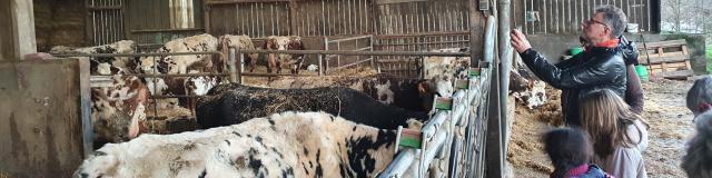 Visit of the Petit Fumechon farm, Saint-Vaast-du-Val