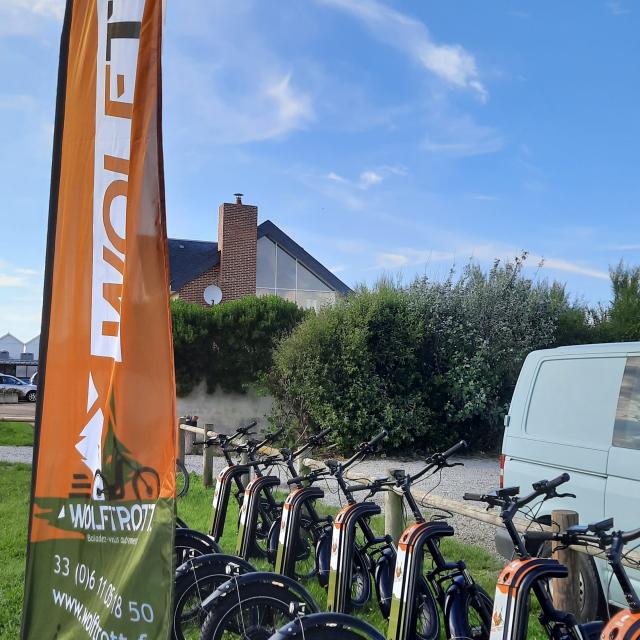 Discover the Wolftrott's Trott' of Wolftrott