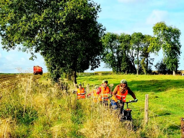 Discover the Wolftrott's Trott' of Wolftrott