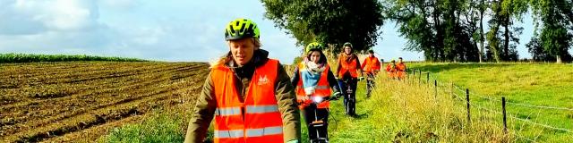 Discover the Wolftrott's Trott' of Wolftrott