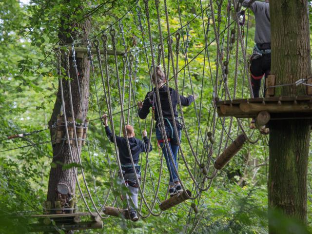 Test the courses at Arb aventures