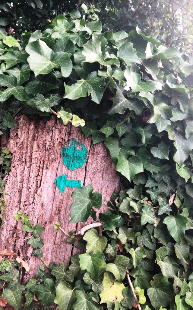 Par ici, suivez-nous !