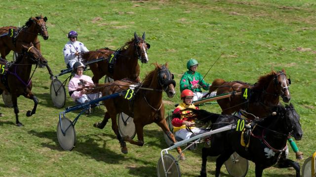 Horse races Bacqueville-en-Caux