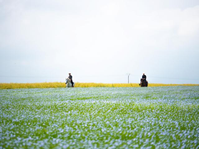 Tc 2017 Pierreleboucher Quiberville Champs 154