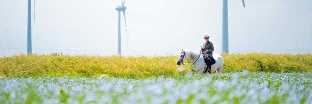 Flax field rider Quiberville