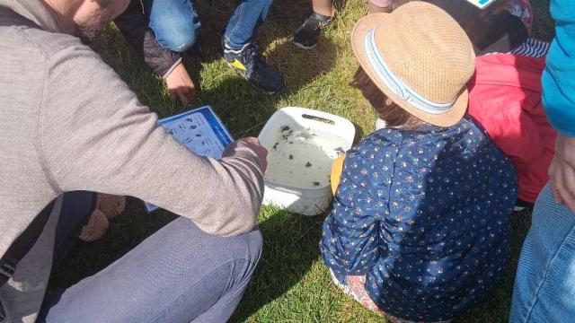 jeu ludique pour les enfants memory nature