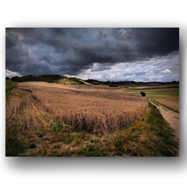 Instagram #terroirdecauxtourisme