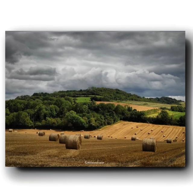 Instagram #terroirdecauxtourisme