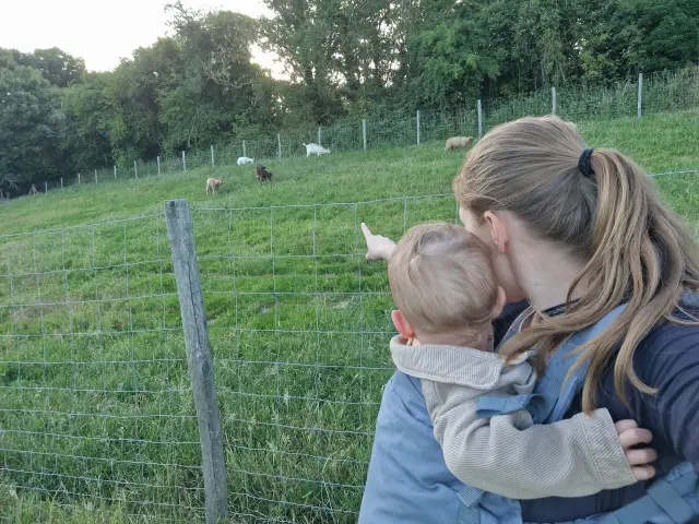 les chèvres à Longueil